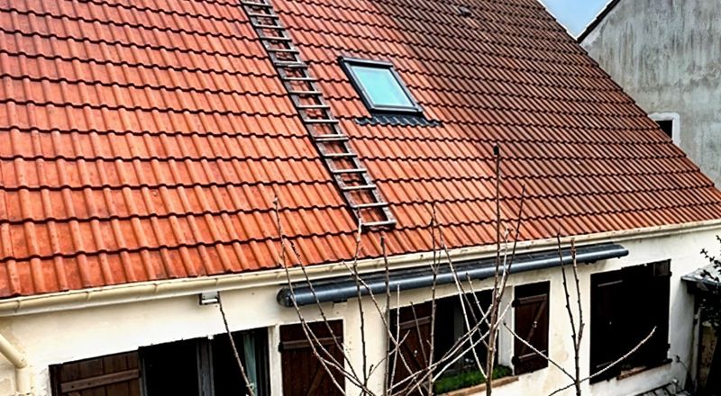 Traitement et restauration de toiture à Louhans