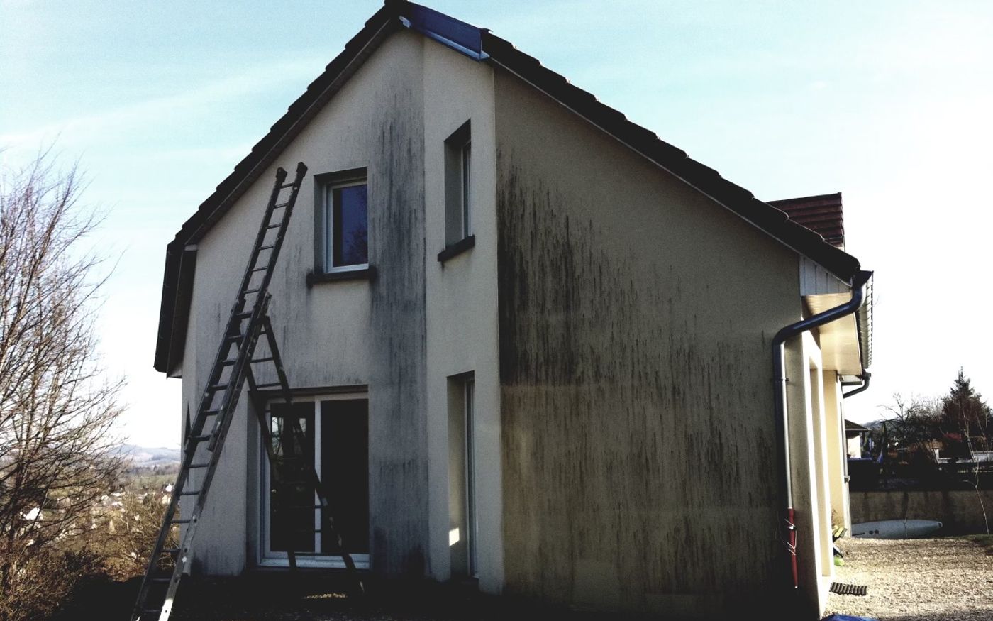 Façade avant traitement à La Truchère