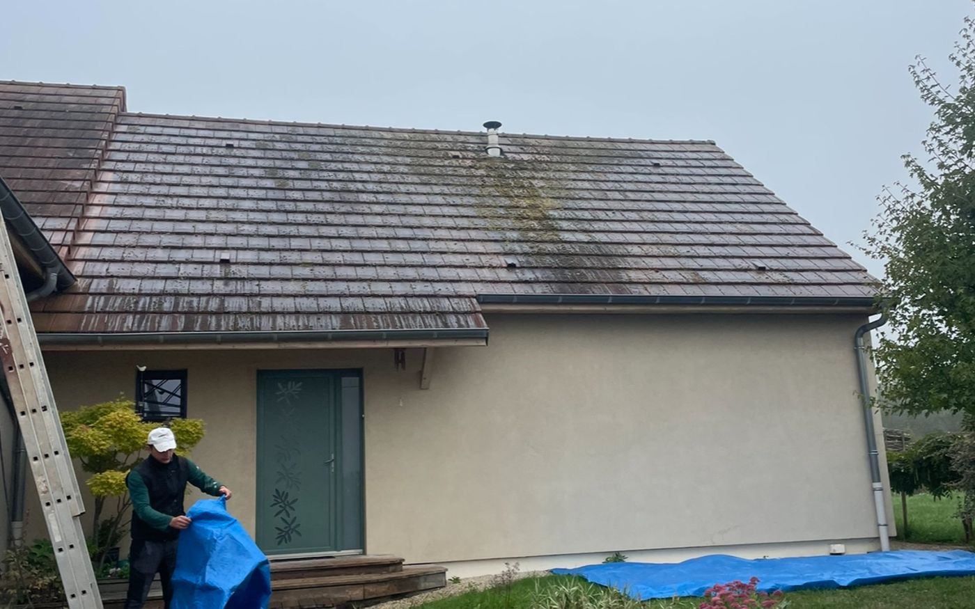 Toiture avant traitement à Le Miroir